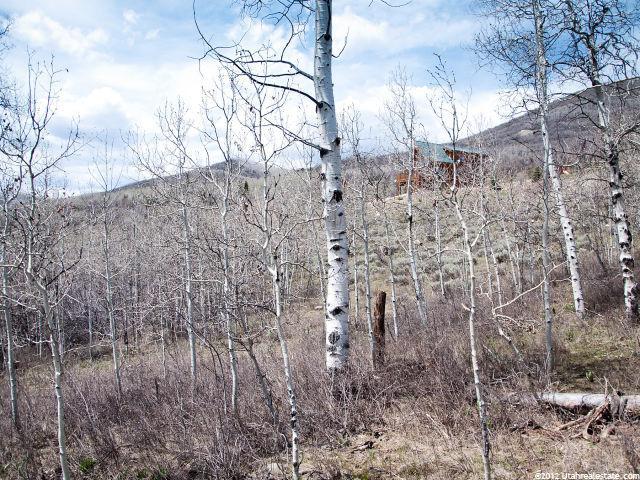 56 Aspen Acres #56, Oakley, UT 84055 — photo 2