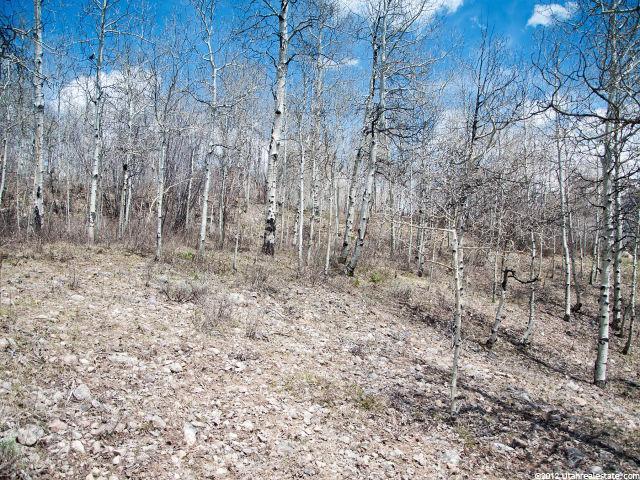 56 Aspen Acres #56, Oakley, UT 84055 — photo 12
