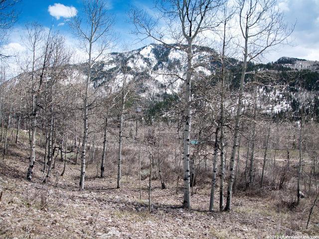 56 Aspen Acres #56, Oakley, UT 84055 — photo 4