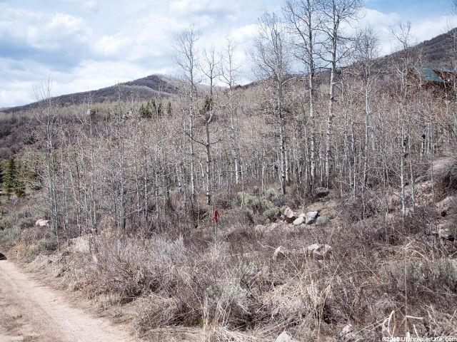 56 Aspen Acres #56, Oakley, UT 84055 — photo 8