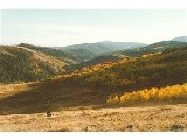 1430 Old Mill Rd, Montpelier, ID 83254 — photo 12