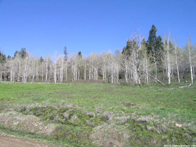 1218 Alexander Cyn #104, Wanship, UT 84017 — photo 4