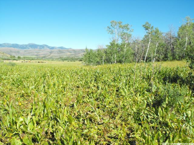 47 Valley View Dr, Georgetown, ID 83239 — photo 3