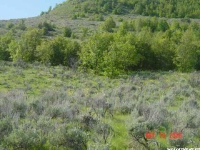 1668 E 13000 N #4, Cove, UT 84320 — photo 6