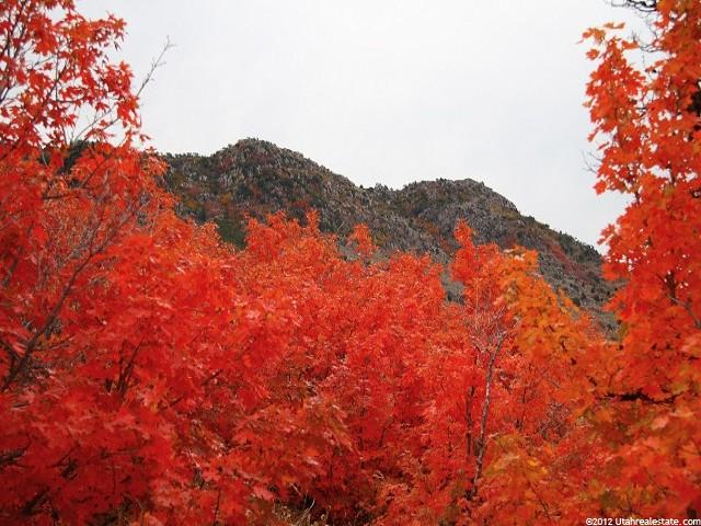 4272 N 3150 E #5, Liberty, UT 84310 — photo 10