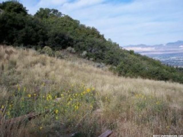 14792 Oak Bluff Pl, Draper, UT 84020 — photo 8