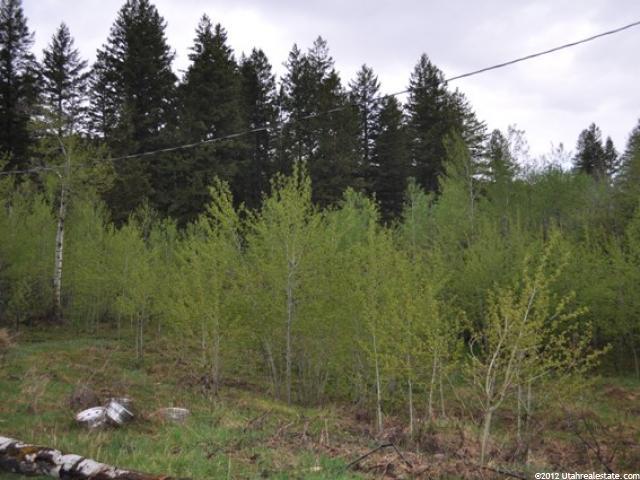 1657 W Buckskin Rd, Inkom, ID 83245 — photo 3