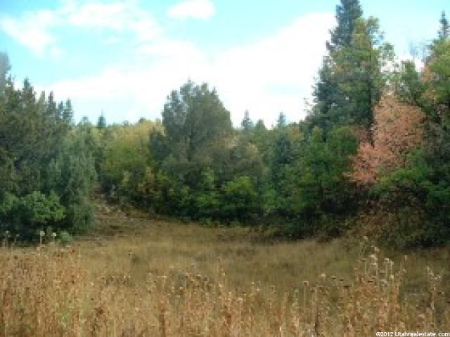 13700 N 14300 E #97-9, Mt Pleasant, UT 84647 — photo 2