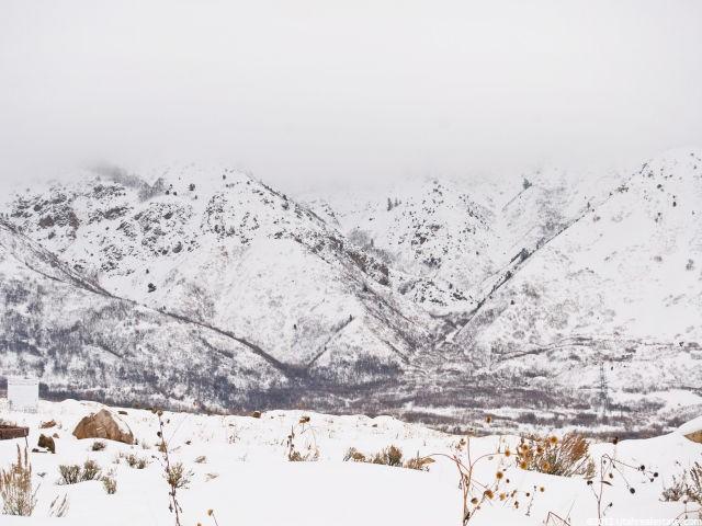 3648 N 700 E #9, North Ogden, UT 84414 — photo 2