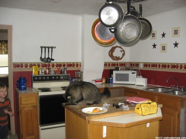 30 S 300 E, Mt Pleasant, UT 84647 — photo 3