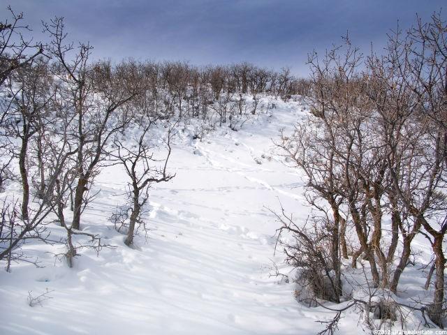 8510 Sunrise Loop #1, Park City, UT 84098 — photo 5