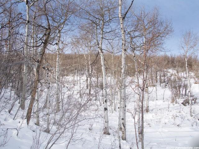 8139 Sunrise Loop #50, Park City, UT 84098 — photo 12