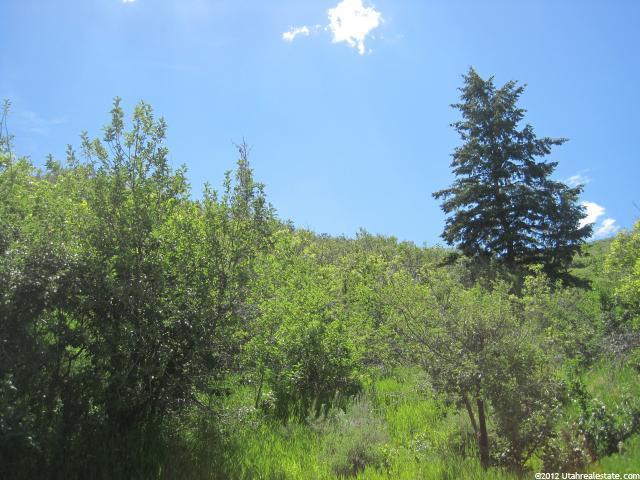 3 Kent Canyon Dr, Wanship, UT 84017 — photo 2