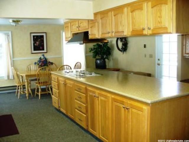 868 Medoland Dr, Brigham City, UT 84302 — photo 4
