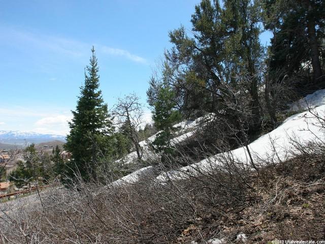 7360 Pine Ridge Dr, Park City, UT 84098 — photo 3