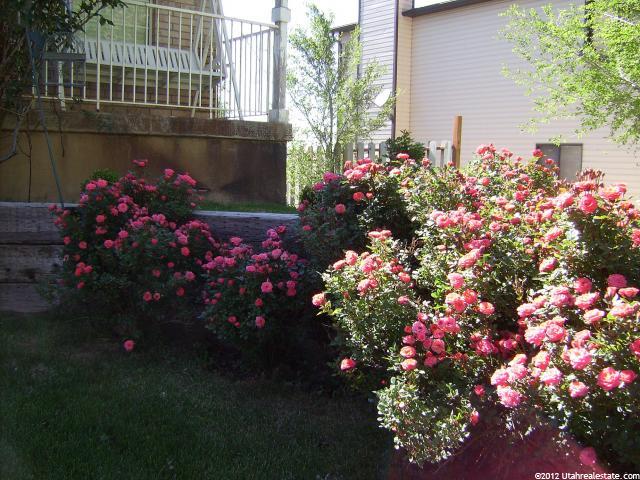 877 N Harrison Blvd, Ogden, UT 84404 — photo 4