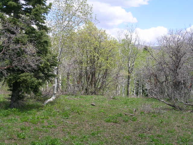 1767 Arapahoe Dr #E31, Wanship, UT 84017 — photo 2