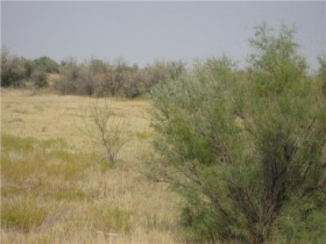 534 N 9500 E, Gusher, UT 84026 — photo 7