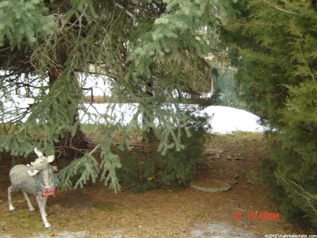 1417 E 29th St S, Ogden, UT 84403 — photo 12