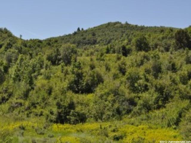 6437 E Summit Rd #35, Huntsville, UT 84317 — photo 7