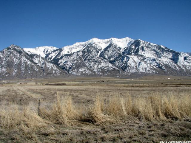 2271 N Old Hwy #4, Mona, UT 84645 — photo 3