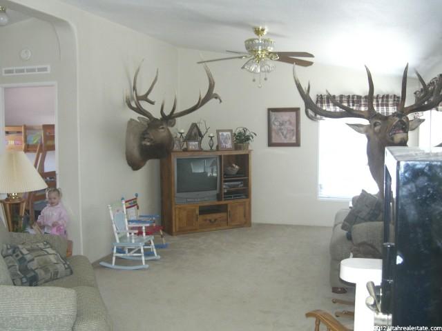 8242 E Salvesen Rd, Downey, ID 83234 — photo 4