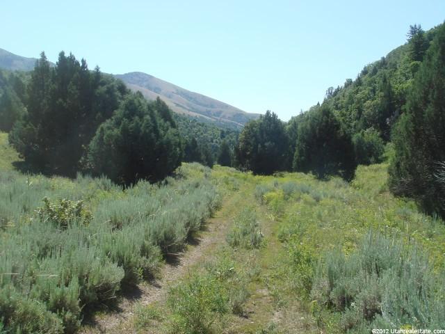 8242 E Salvesen Rd, Downey, ID 83234 — photo 10