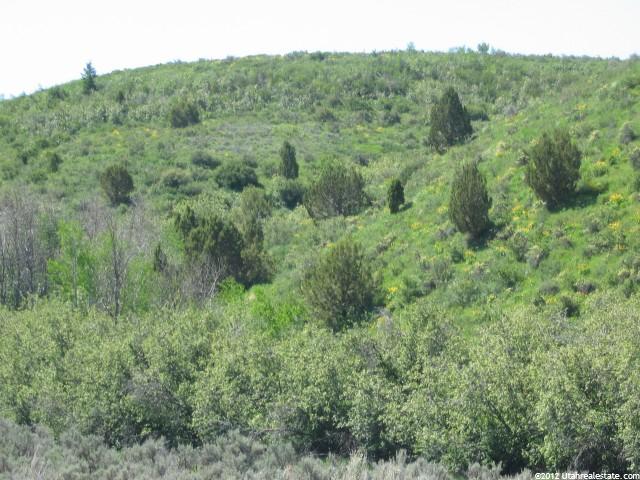 1 Myler Rd, Arbon, ID 83212 — photo 12