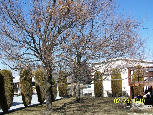 955 N 325 W, Bountiful, UT 84010 — photo 12