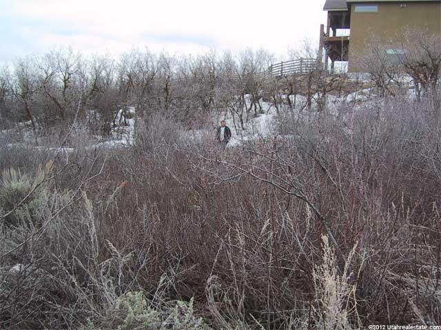 1613 W Alpine Ave, Heber City, UT 84032 — photo 5