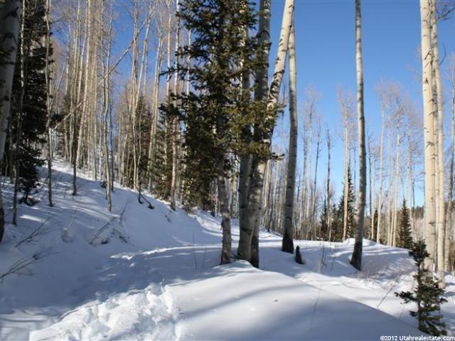184 White Pine Cyn Rd, Park City, UT 84060 — photo 11