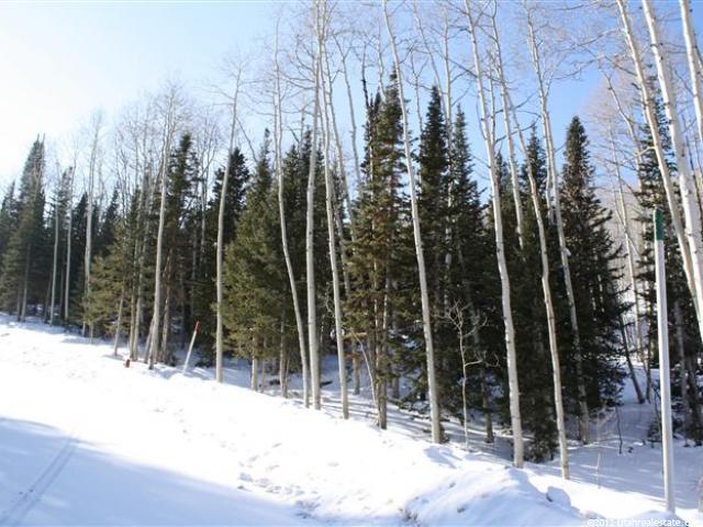 184 White Pine Cyn Rd, Park City, UT 84060 — photo 3