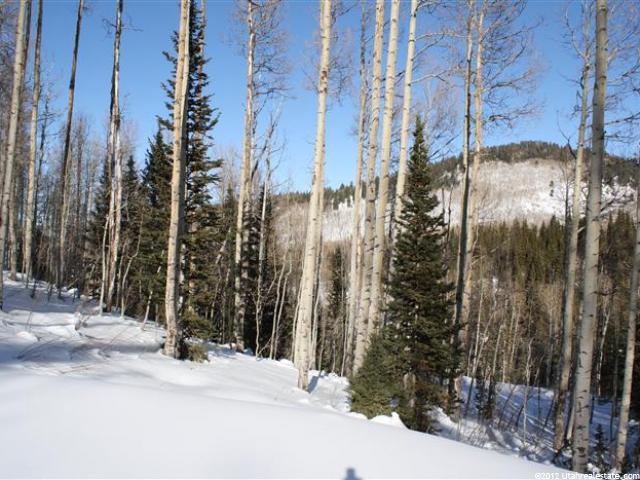 184 White Pine Cyn Rd, Park City, UT 84060 — photo 5