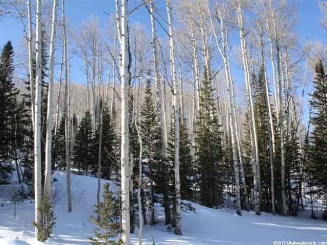 184 White Pine Cyn Rd, Park City, UT 84060 — photo 6