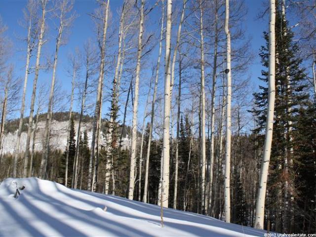 184 White Pine Cyn Rd, Park City, UT 84060 — photo 7