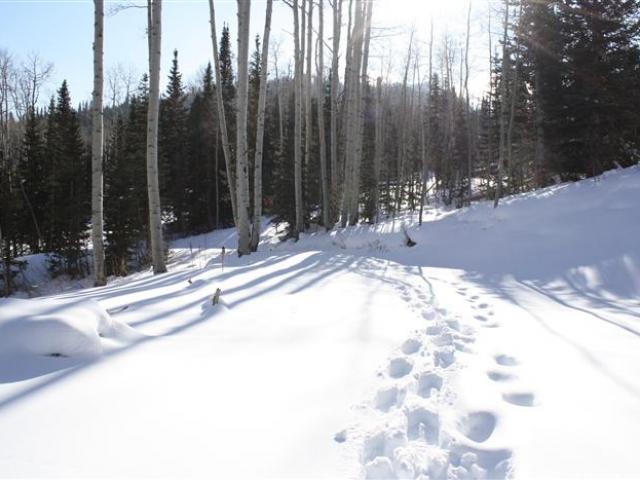 184 White Pine Cyn Rd, Park City, UT 84060 — photo 9