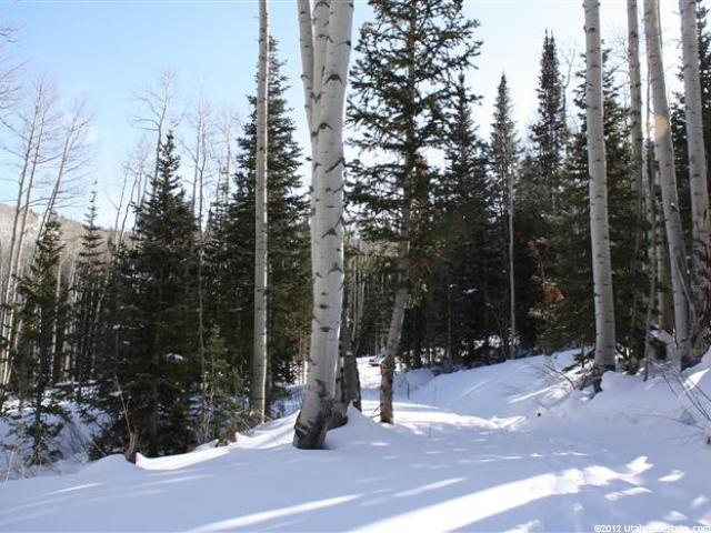 184 White Pine Cyn Rd, Park City, UT 84060 — photo 10