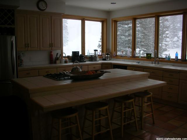 9910 E Peruvian Acres Rd, Alta, UT 84092 — photo 9
