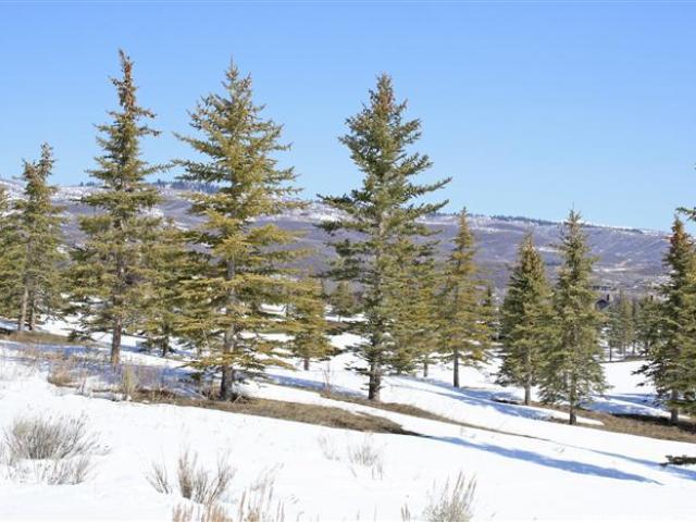 7208 Lupine Dr #95, Park City, UT 84098 — photo 6