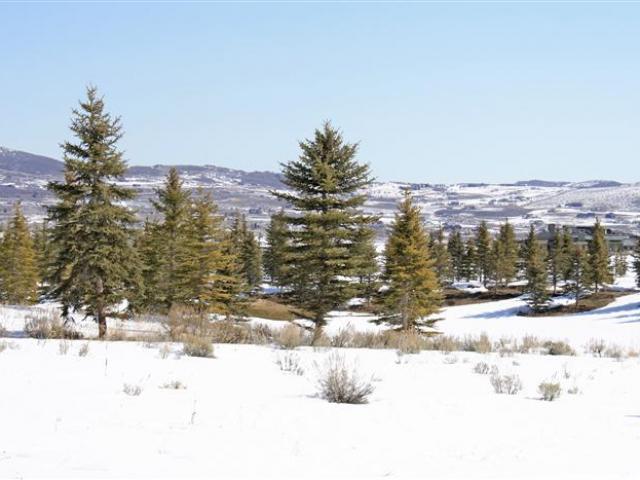 7208 Lupine Dr #95, Park City, UT 84098 — photo 7