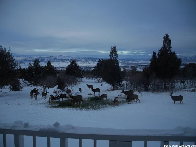 10500 N 8760 E, Spring City, UT 84662 — photo 3