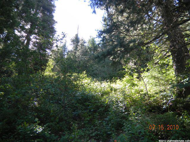 695 Parkview Dr #53, Park City, UT 84098 — photo 5