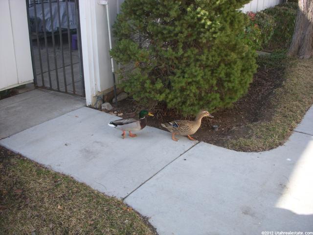 597 E 4010 S, Murray, UT 84107 — photo 3