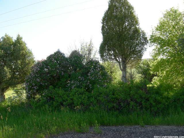 Bloomington, ID 83223 — photo 2