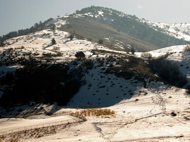 2098 E Meadow Lark Ln N #21, North Logan, UT 84341 — photo 3