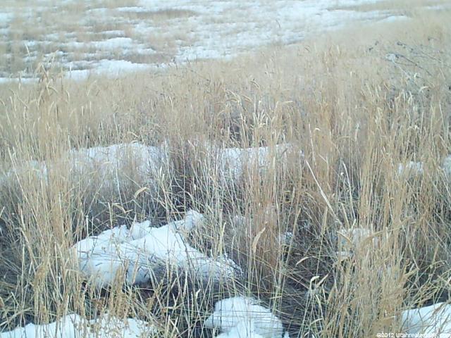7 Dee Dr #7, Garden City, UT 84028 — photo 2