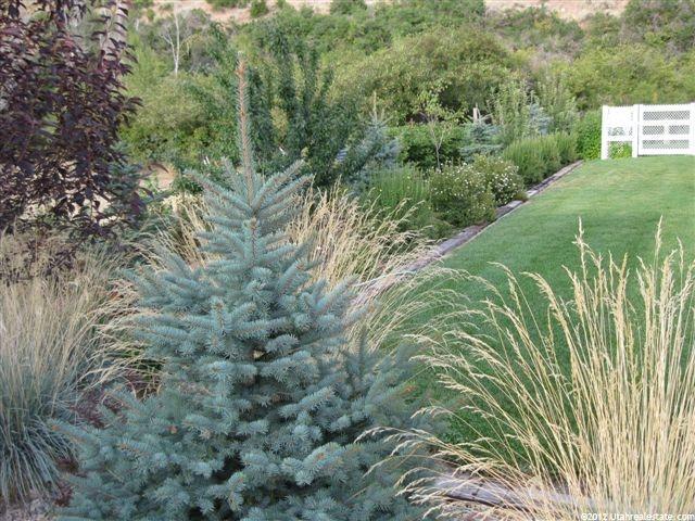 353 E Center St, Kamas, UT 84036 — photo 6
