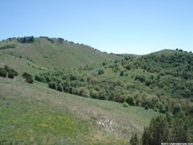 8000 N 9000 W, Newton, UT 84327 — photo 3