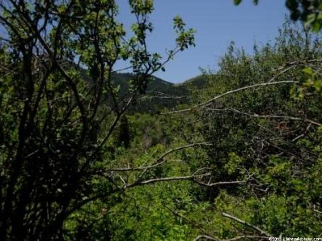 8857 Parley's Ln #11, Park City, UT 84098 — photo 3