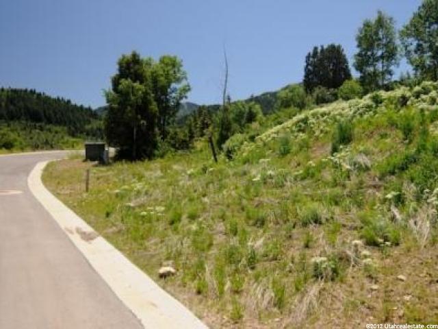 8729 Parleys Ln, Park City, UT 84098 — photo 4